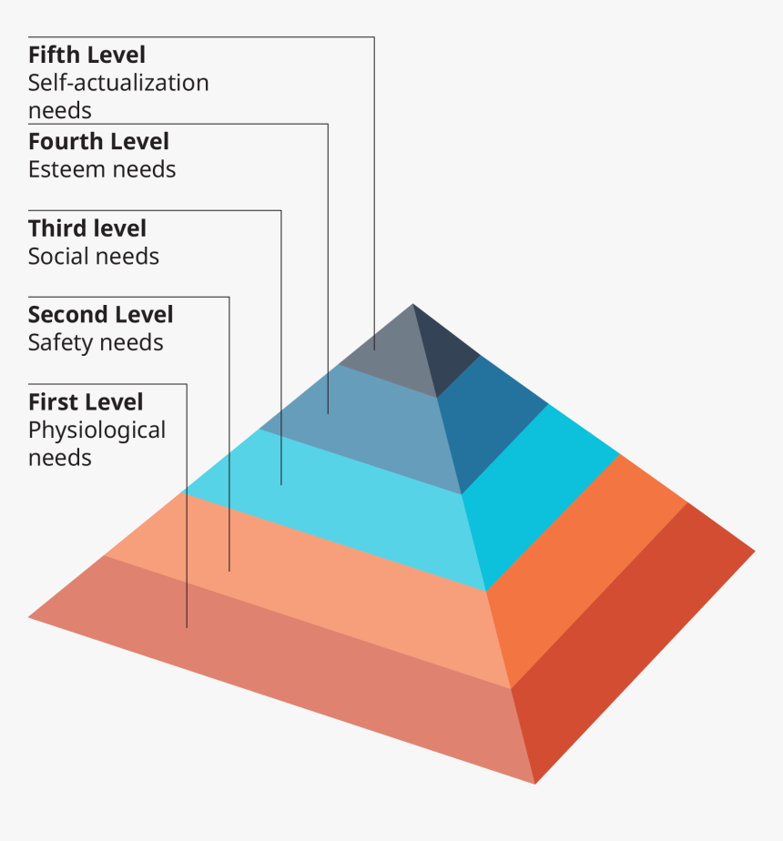 The Base Of The Pyramid Is Labeled First Level, Physiological - Maslow Hierarchy Of Needs In Business, HD Png Download