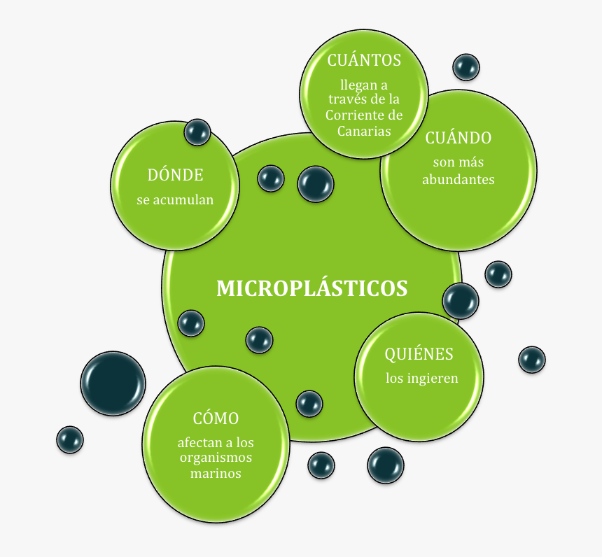 Objetivos Copia - Esquema De Los Microplasticos, HD Png Download
