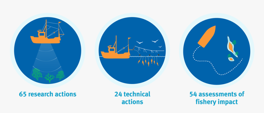 Icon Illustrations Showing Research Actions, Technical - Fishery Manage Icon Png, Transparent Png