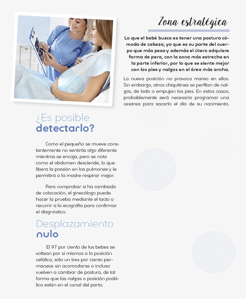 Brochure, HD Png Download