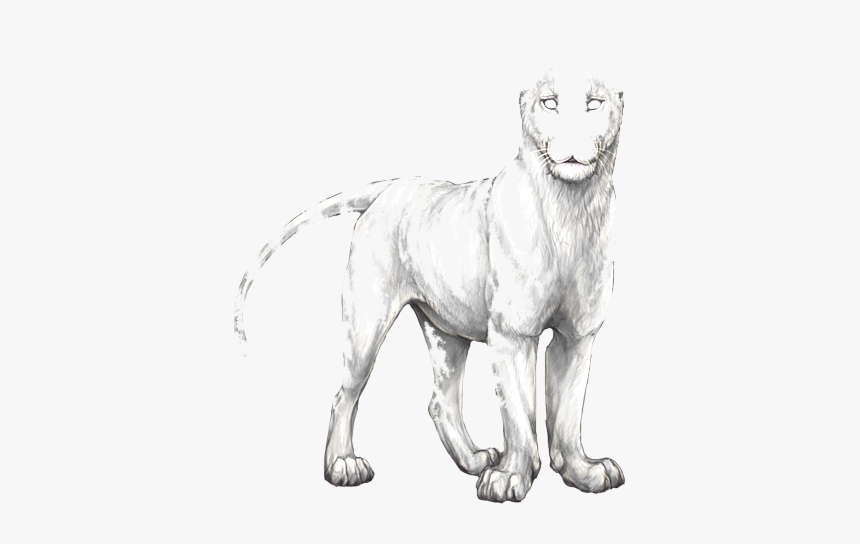 Sketch, HD Png Download