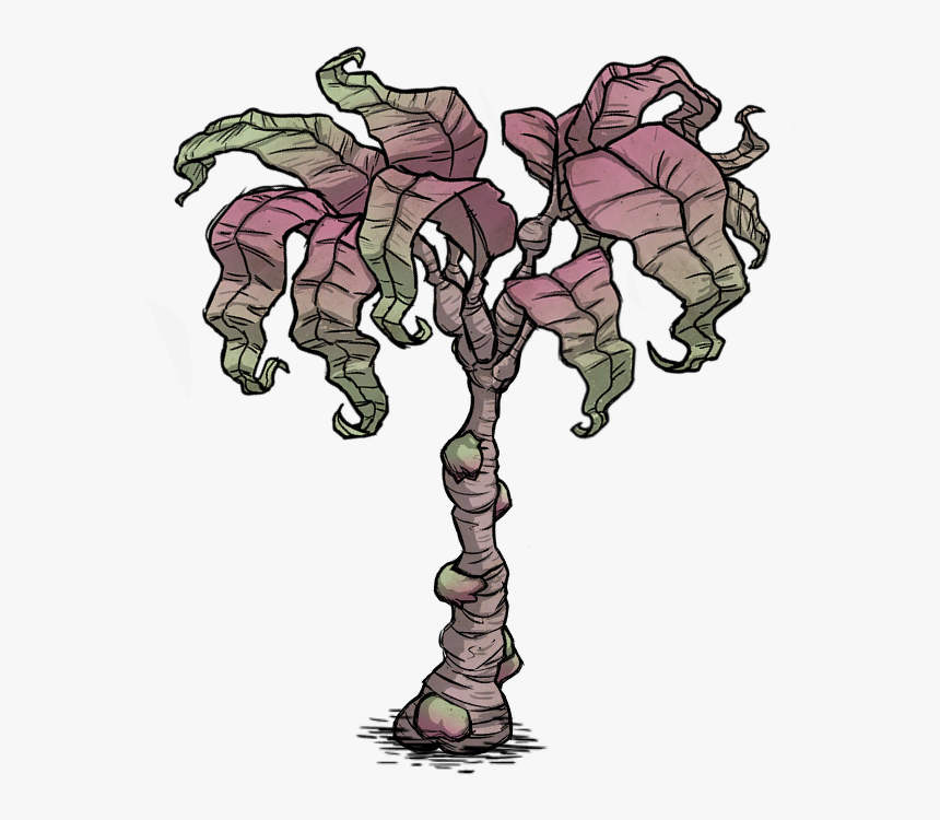 Rainforest Tree Rot - Tree, HD Png Download