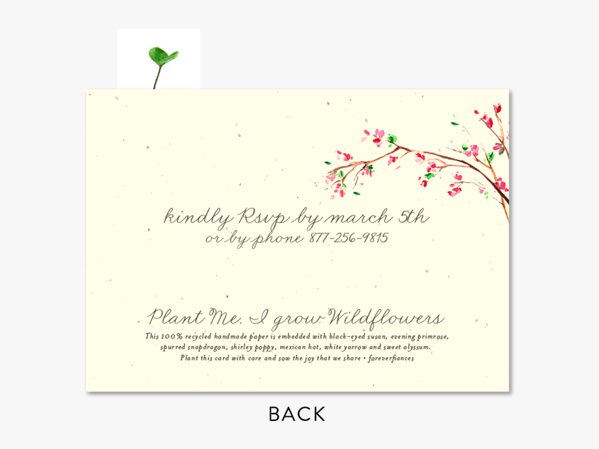 Document, HD Png Download