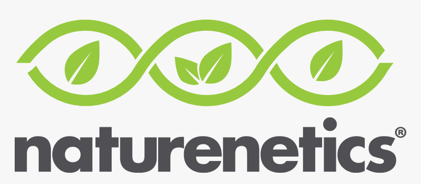 Clip Art Plexus Coupon - Graphic Design, HD Png Download