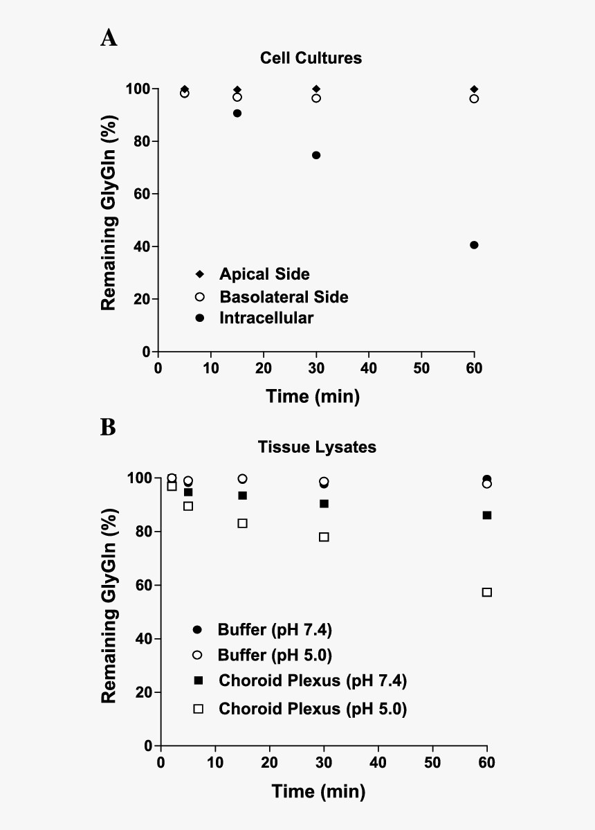 Document, HD Png Download
