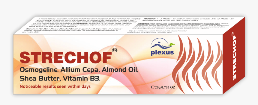 Document, HD Png Download