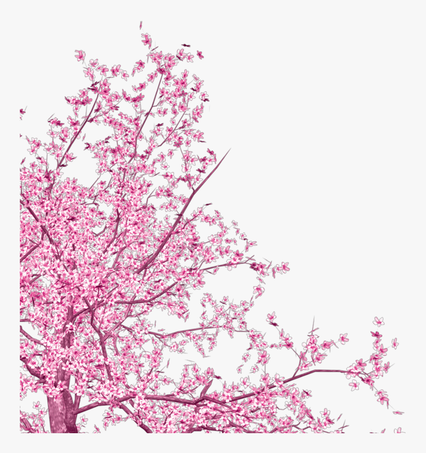 #freetoedit #corner #cherry #blossom - Cherry Blossom From Corner, HD Png Download