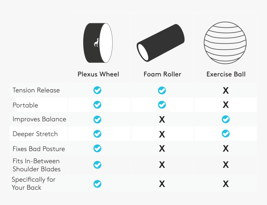 Circle, HD Png Download