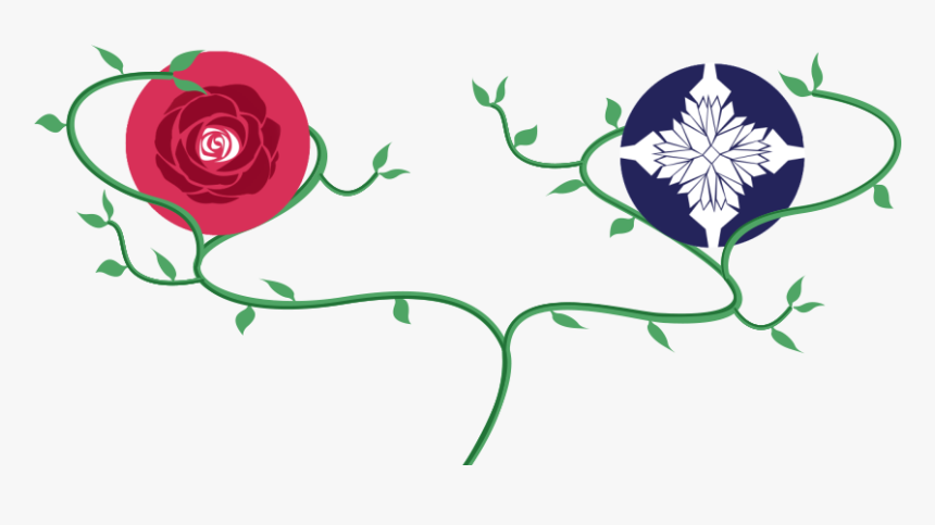 Hybrid Tea Rose, HD Png Download