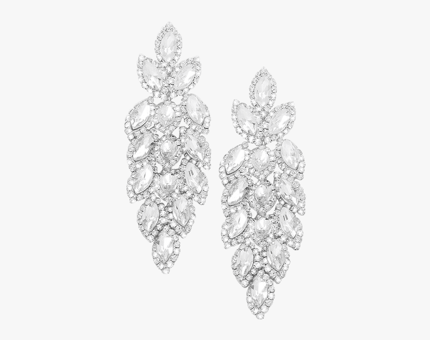 Loggerhead Sea Turtle, HD Png Download