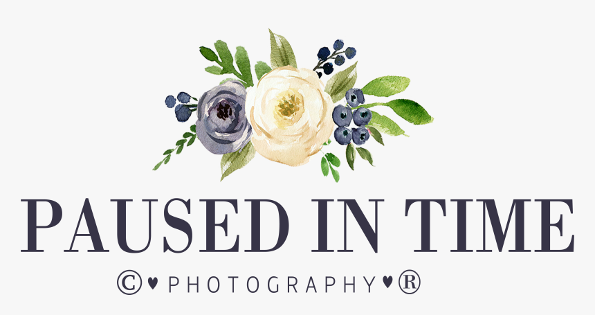 Pepper Pike Capital Partners, HD Png Download