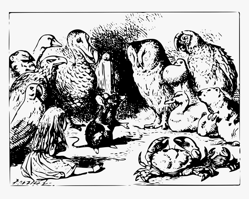 Alice In Wonderland - Alice In Wonderland Illustrations, HD Png Download