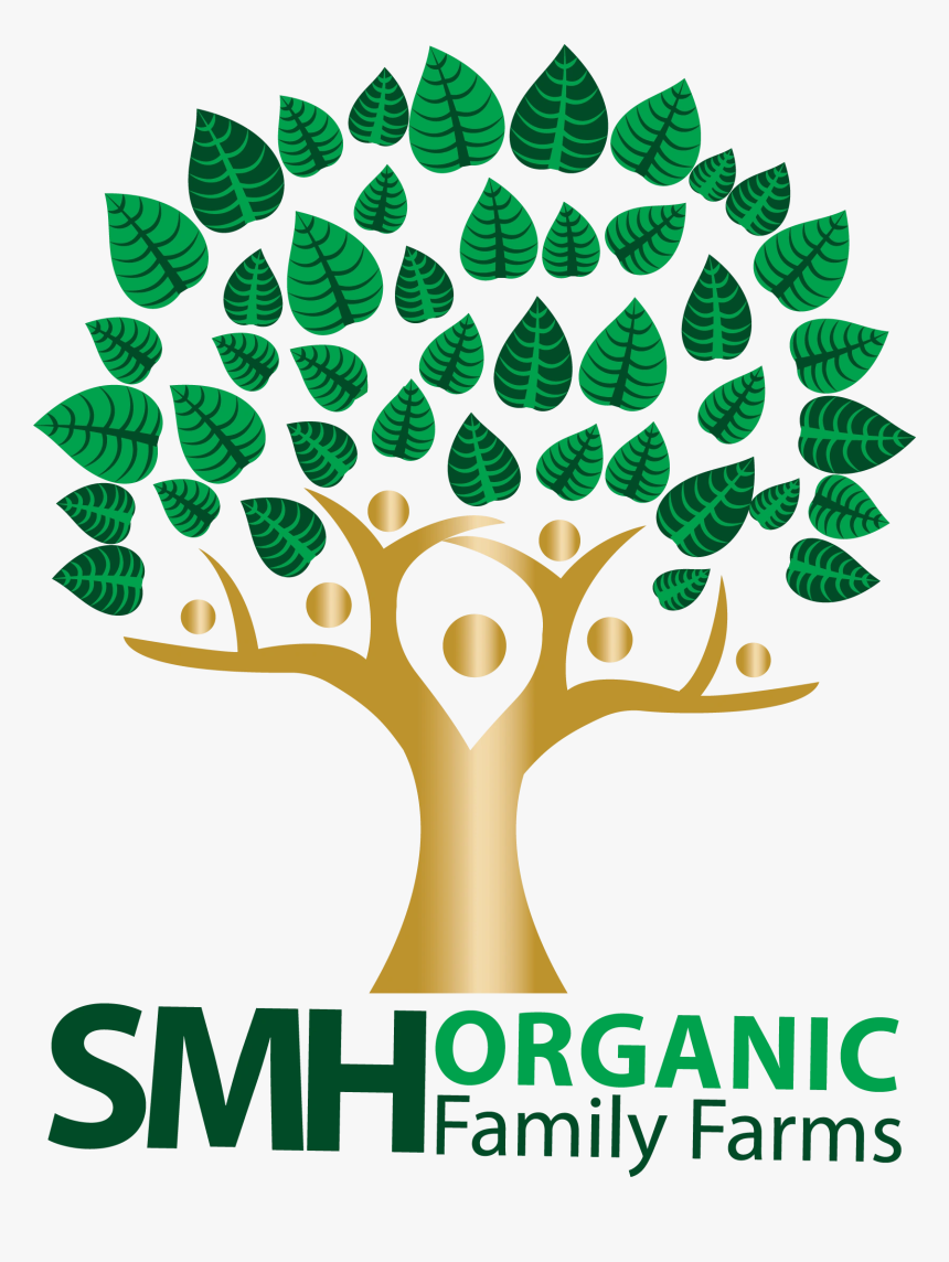 Image2, HD Png Download