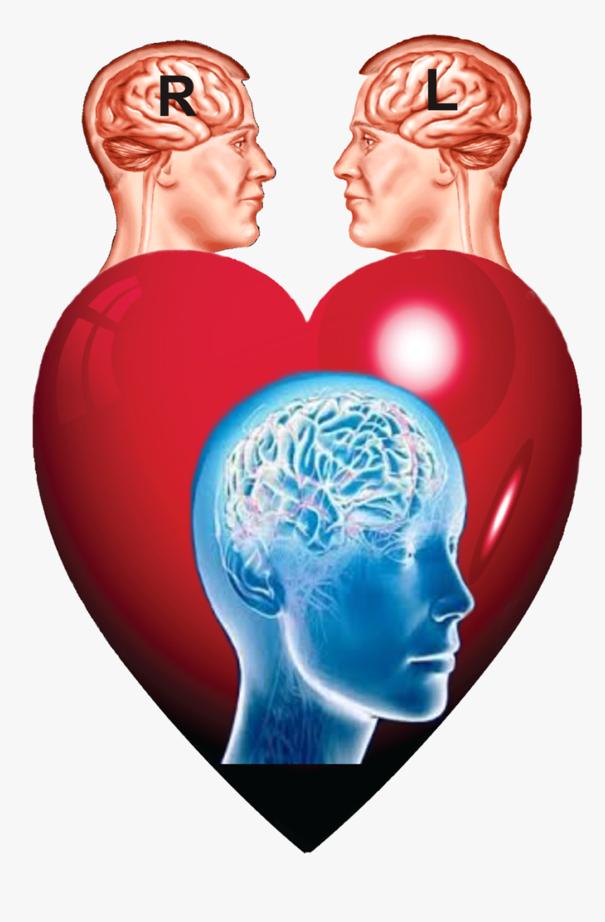 Brain Image Creative Commons, HD Png Download