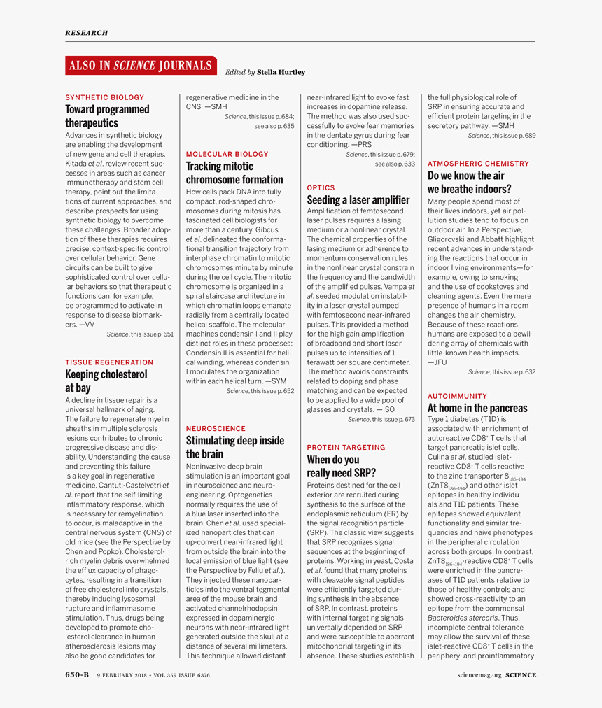 Document, HD Png Download