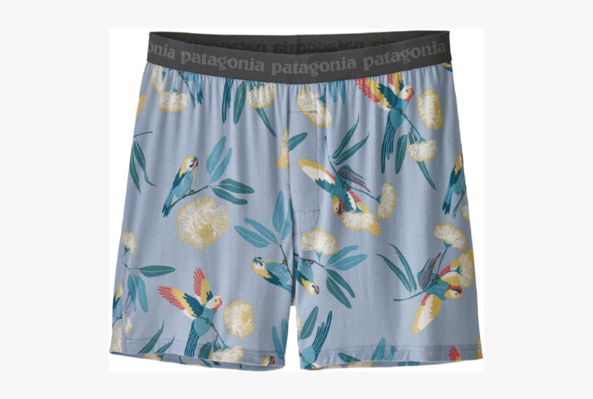 Board Short, HD Png Download