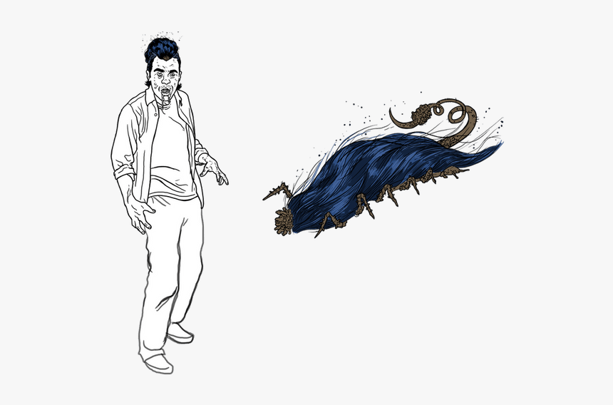 Sketch, HD Png Download