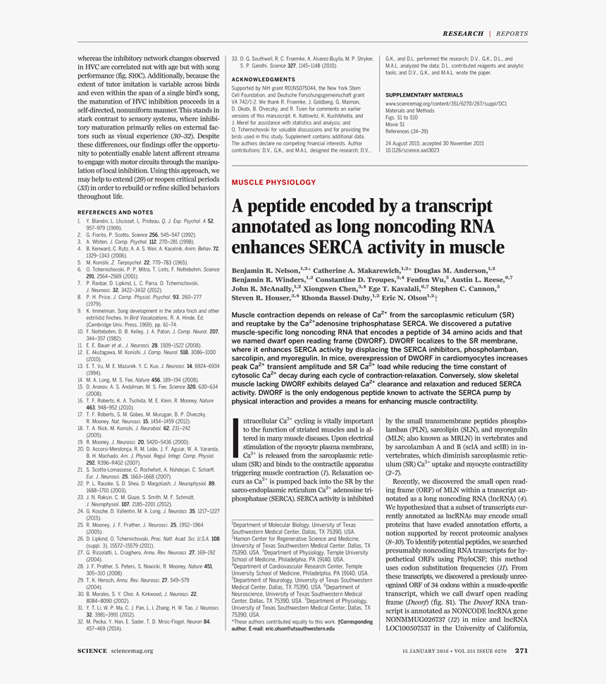 Document, HD Png Download