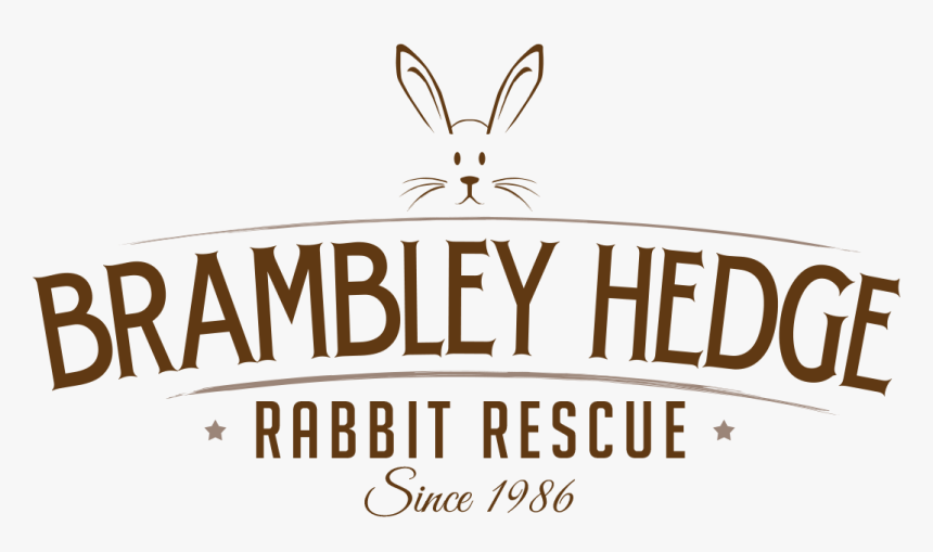 Domestic Rabbit, HD Png Download