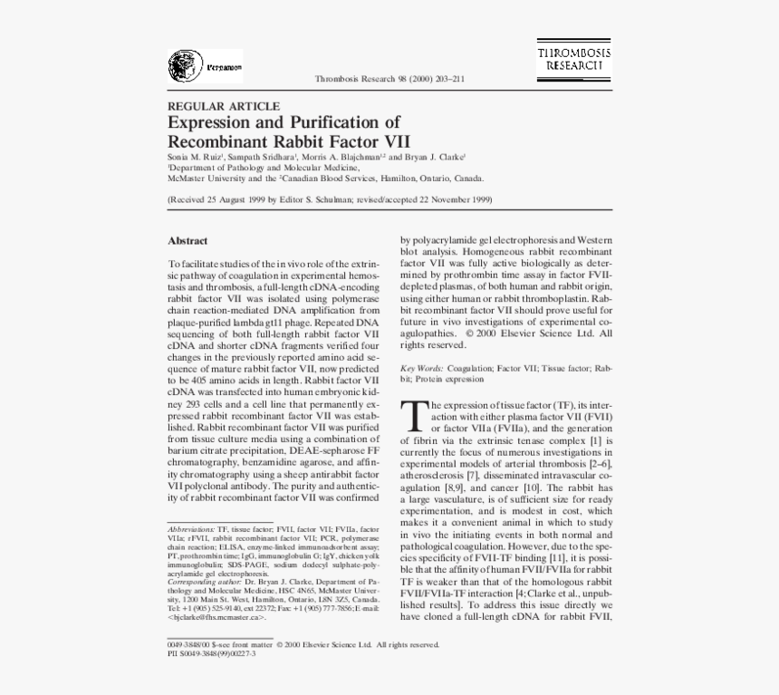 Folio Eleven From Burchard Of Sion's De Locis Ac Mirabilibus, HD Png Download