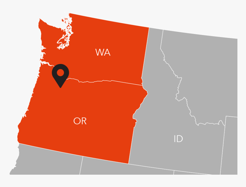 Cat, HD Png Download