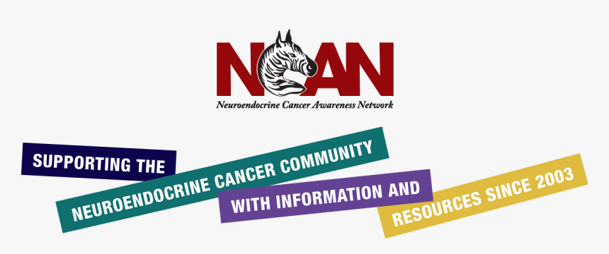 Neuroendocrine Cancer Awareness Network - Illustration, HD Png Download