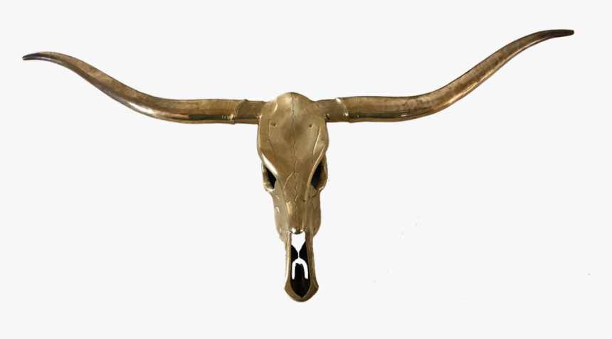 Longhorn Skull Png, Transparent Png