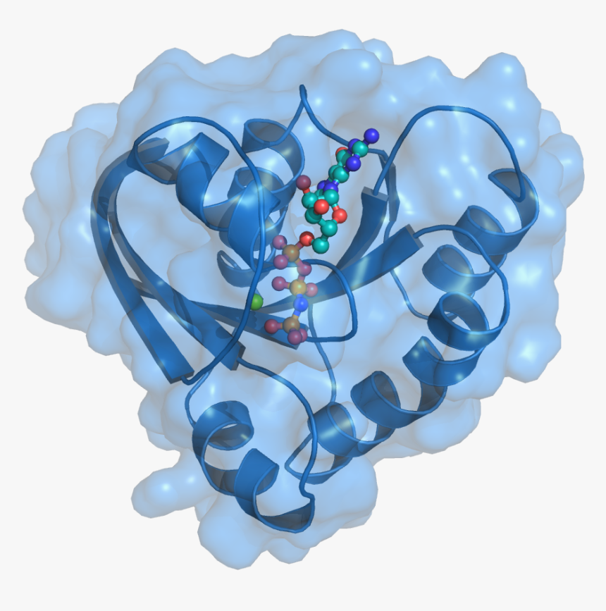 Der Lab - Illustration, HD Png Download