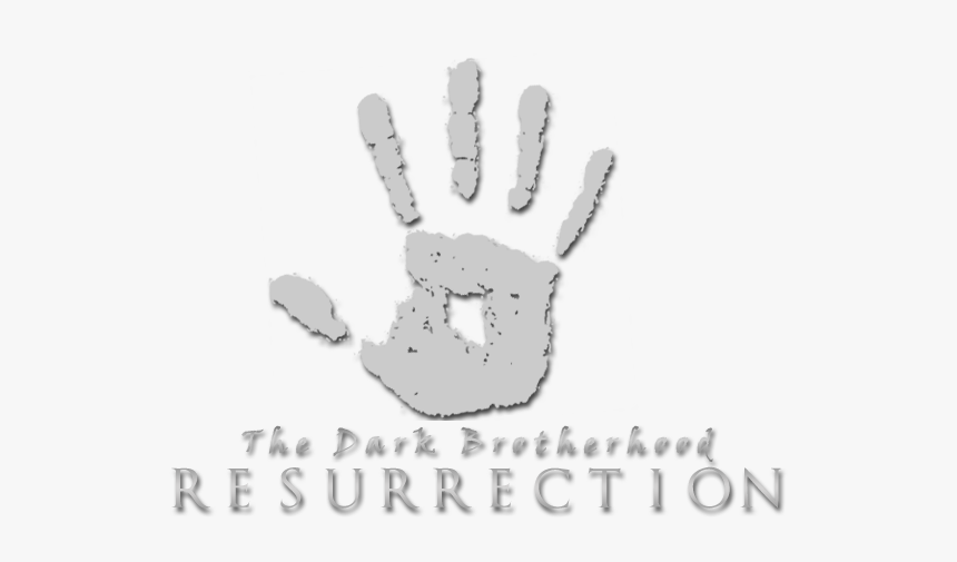 Dbrbanner - Illustration, HD Png Download