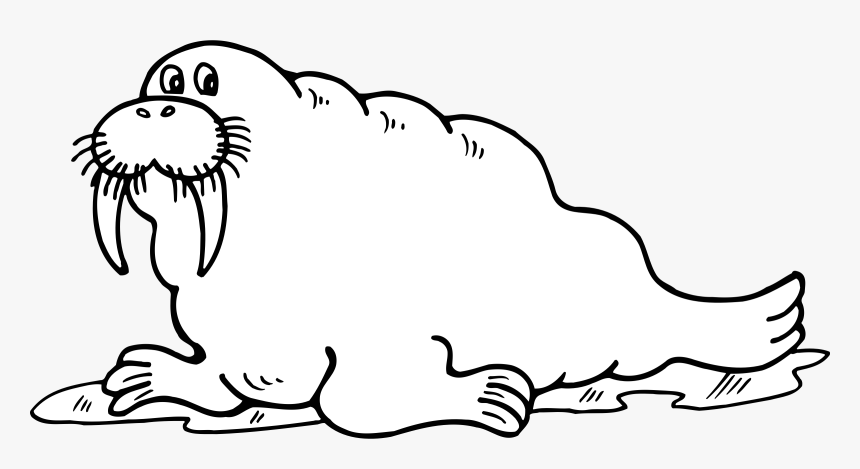 Cute Walrus Png Black And White Free - Walrus Clipart Black And White, Transparent Png