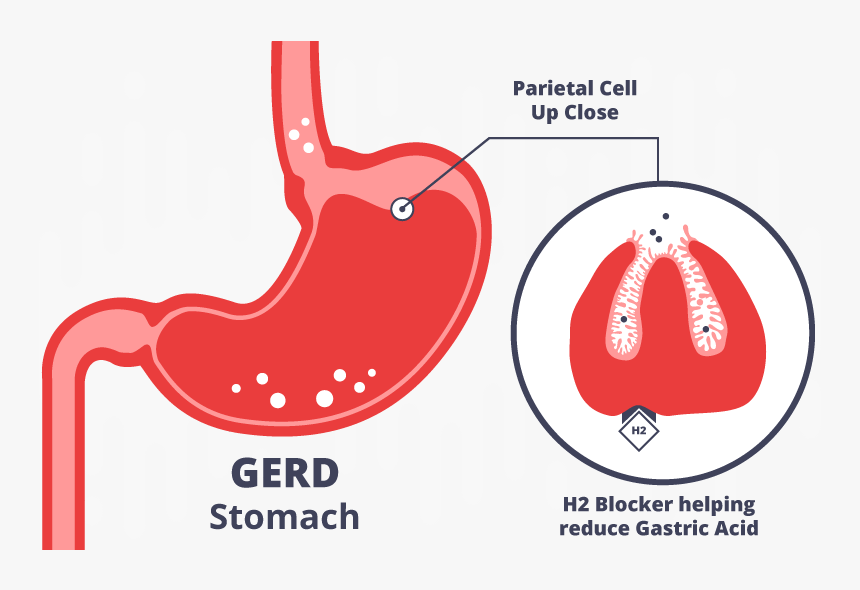 Triple J, HD Png Download