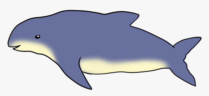 Wholphin, HD Png Download