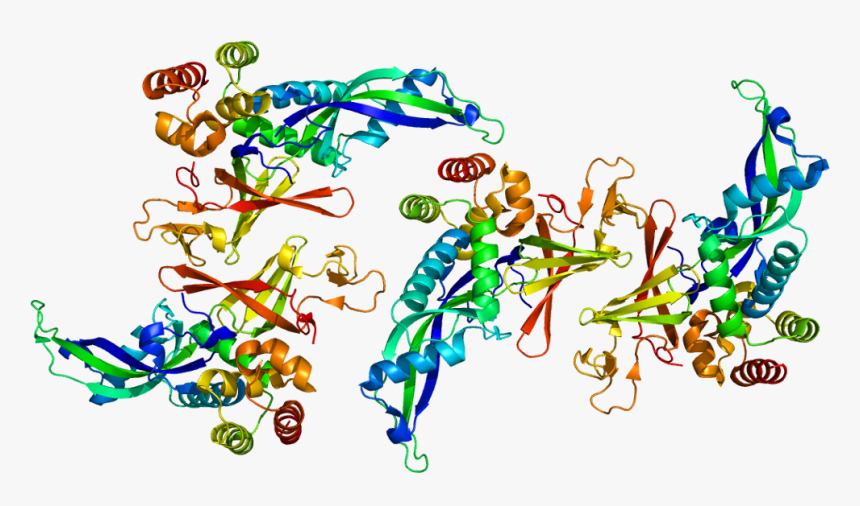 Protein Polr2d Pdb 2c35 - Pol I Subunit D, HD Png Download