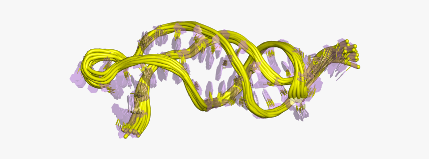 Pdb 1ymo Ebi - Le Terc Telomerase Rna Component, HD Png Download