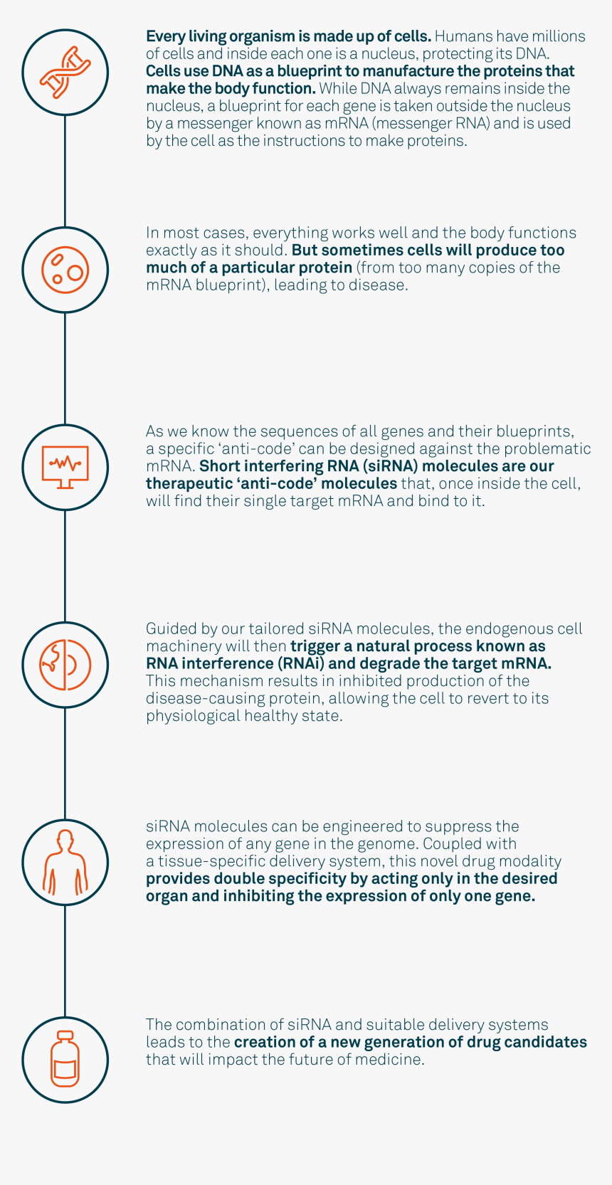 Circle, HD Png Download