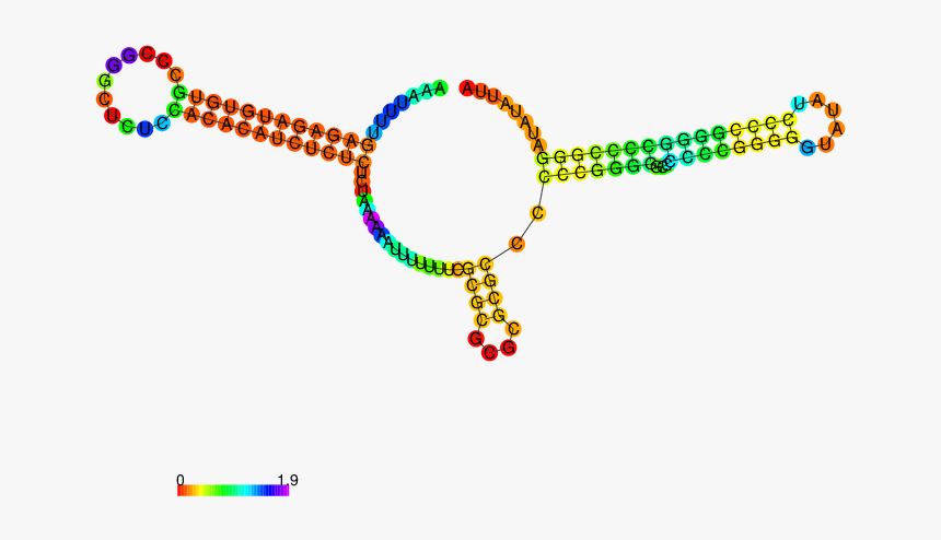 Fantasy Rna - Circle, HD Png Download