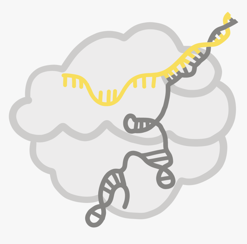 Clip Art, HD Png Download