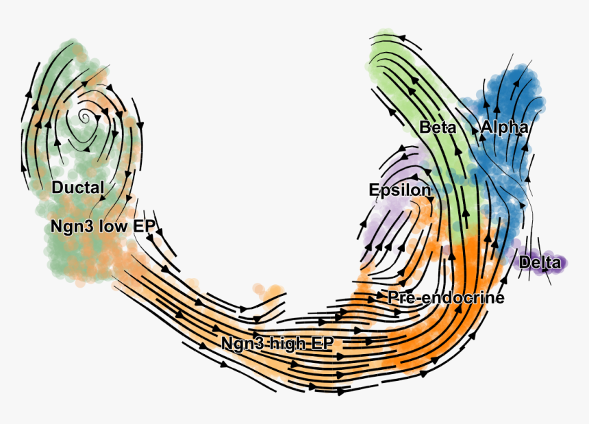 Https - //user Images - Githubusercontent - Com/31883718/67709134 - Illustration, HD Png Download