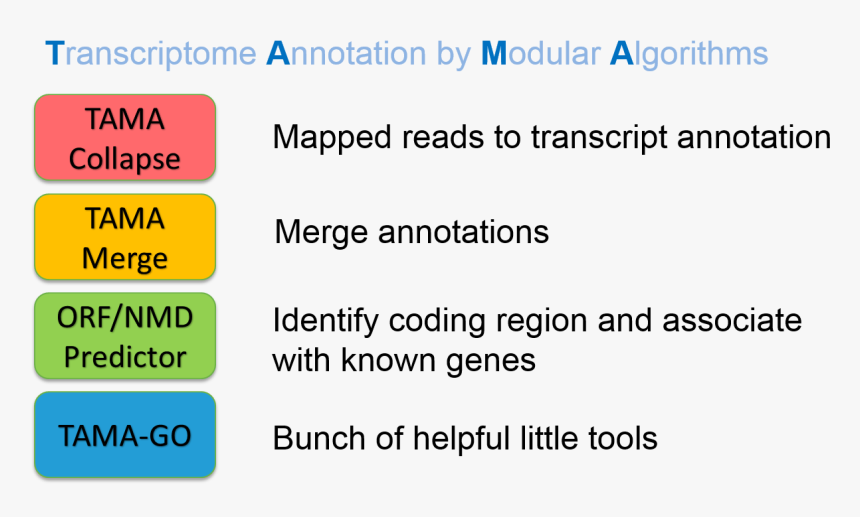 Enter Image Description Here - Quotes And Sayings, HD Png Download