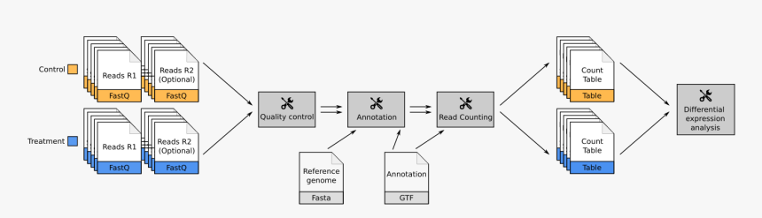 Diagram, HD Png Download