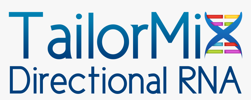 Oval, HD Png Download