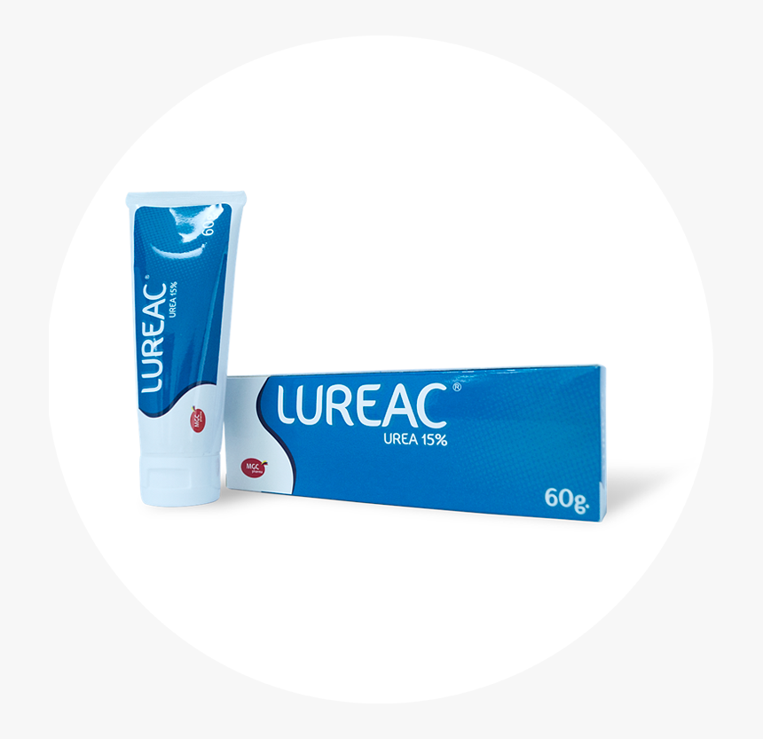 Label, HD Png Download