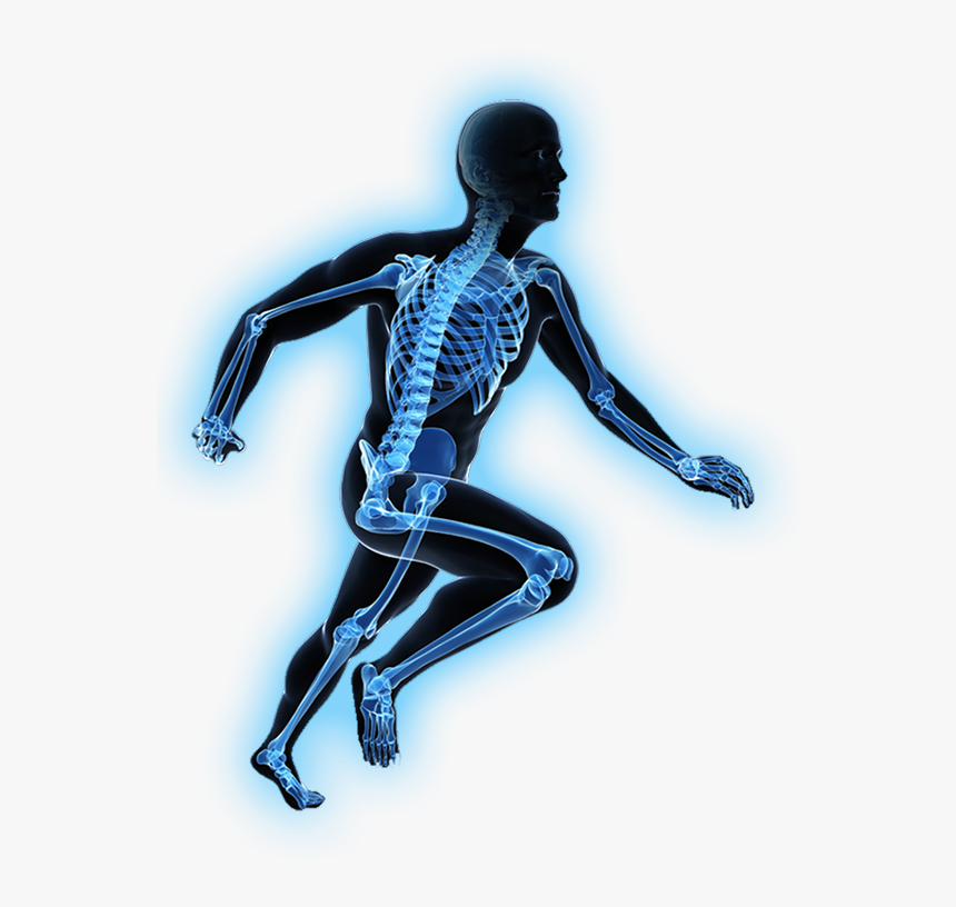 Illustration, HD Png Download