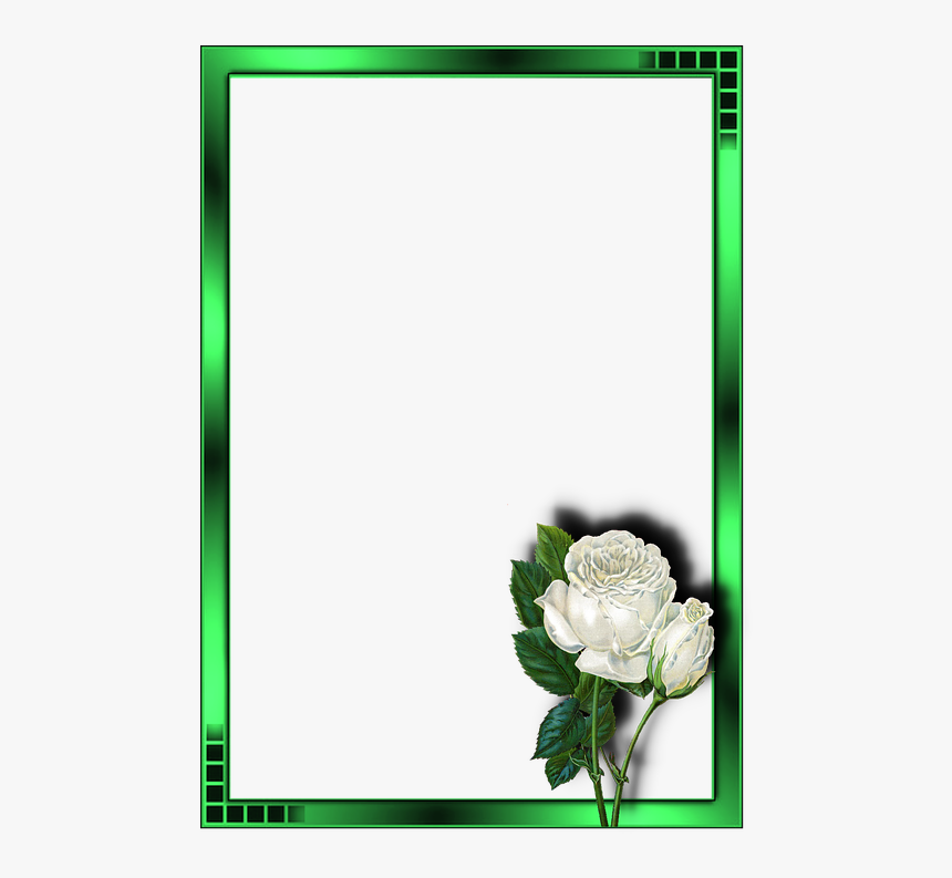 White Rose An Animated, HD Png Download