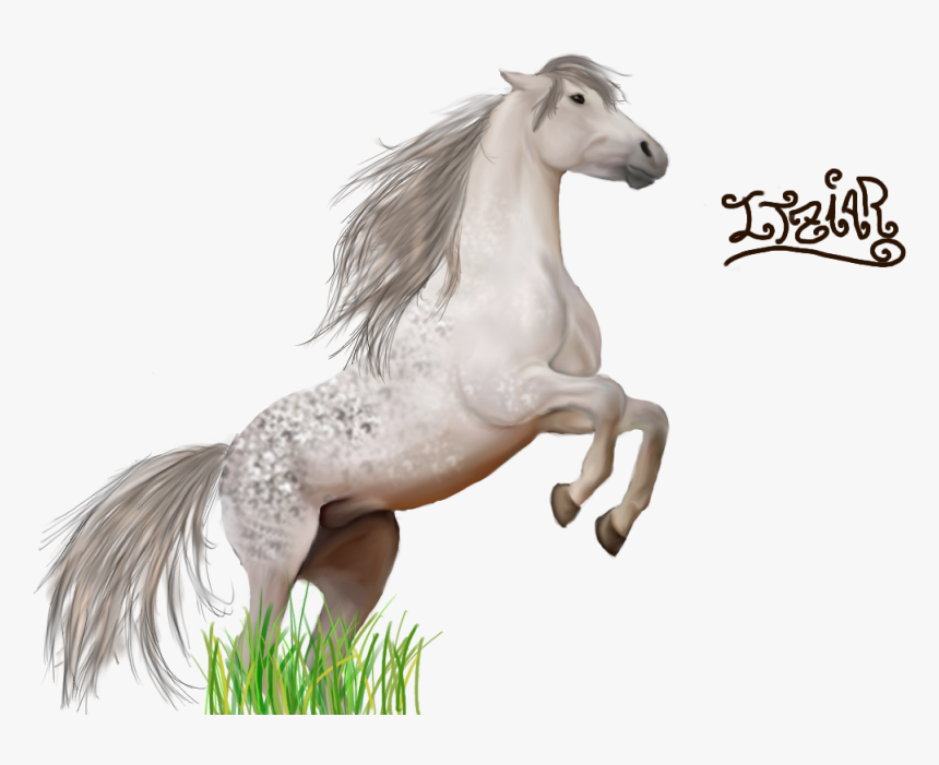 Thumb Image - Imagenes De Caballos En Png, Transparent Png