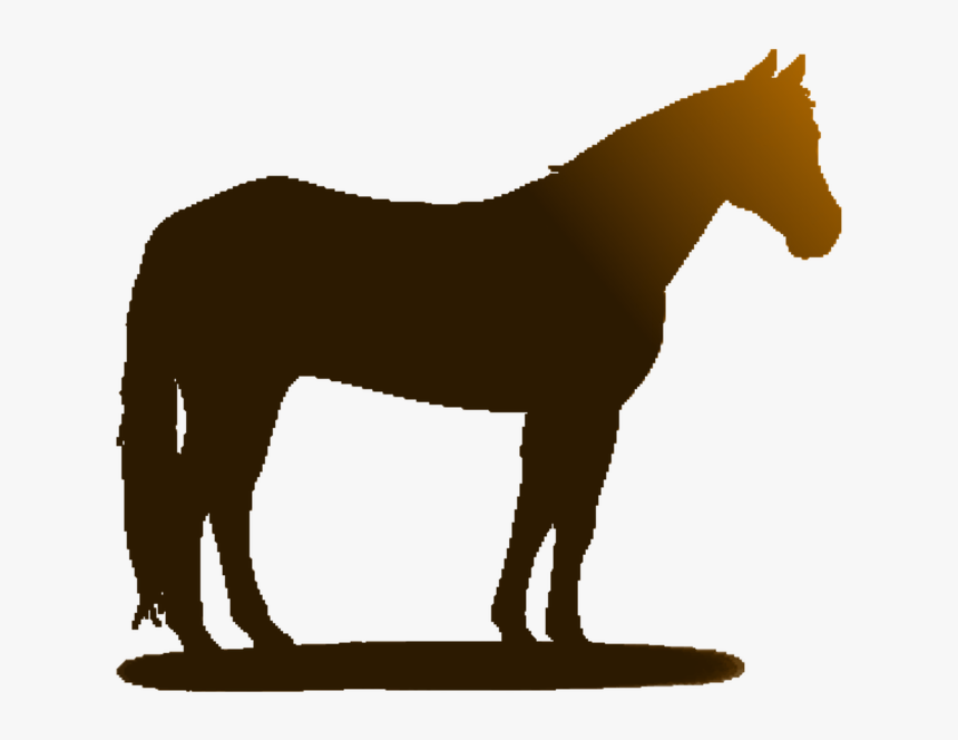 Transparent Horse Clip Art - Clip Art, HD Png Download