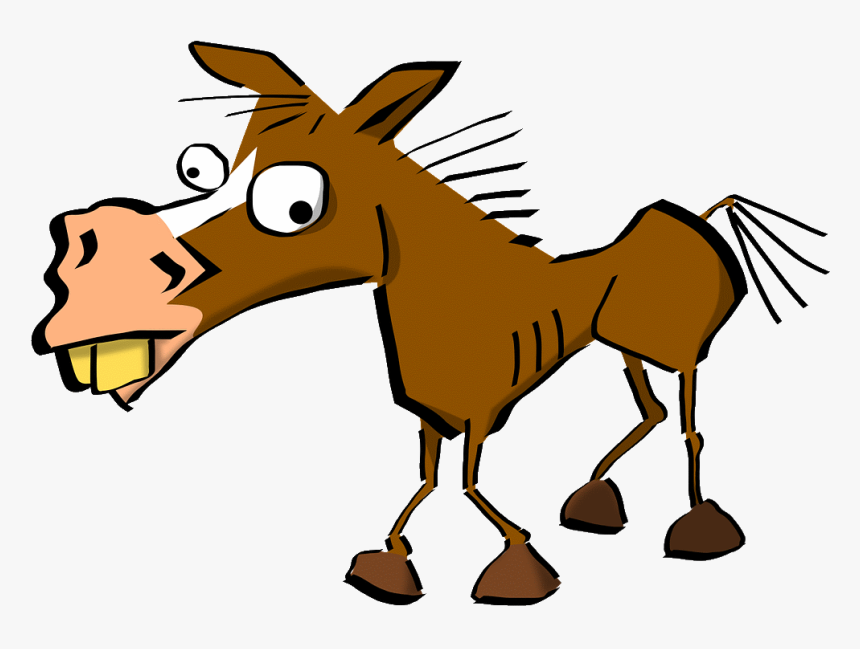 Straight From The Horse's Mouth Idiom, HD Png Download