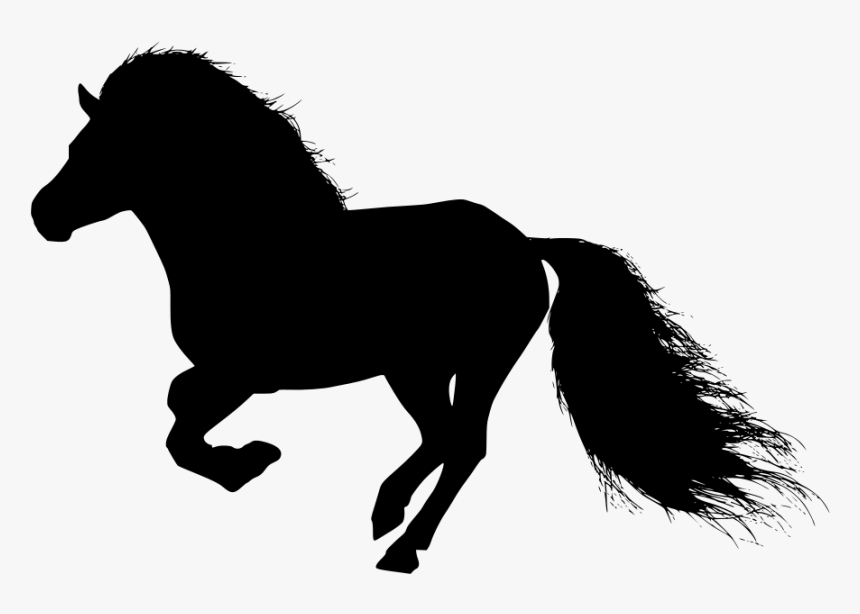 Caricaturas De Caballos - Caballos Dibujados, HD Png Download