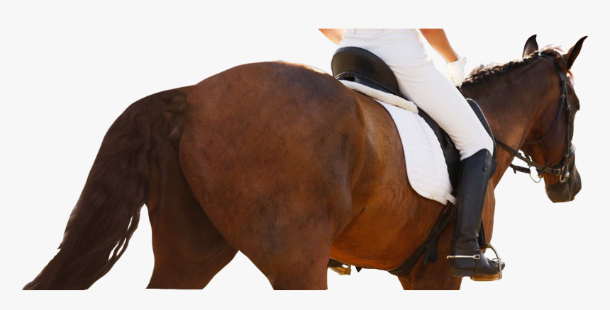 Equestrianism, HD Png Download