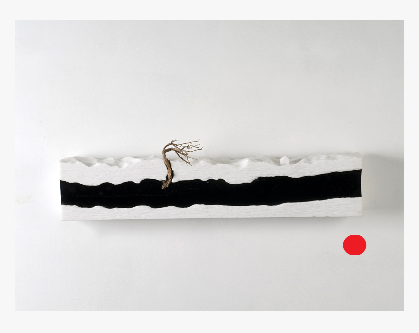 ” Magma ” / 1547 Carmen Baena - Bald Eagle, HD Png Download